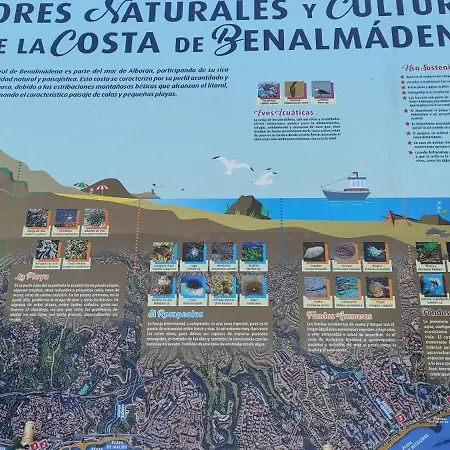 Estudio Recién Reformado En Primera Línea De Playa Apartamento